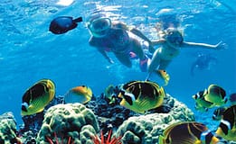 Snorkeling with body glove cruises