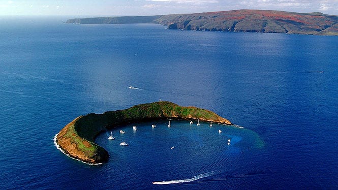 Tours at molokini for world class snorkeling
