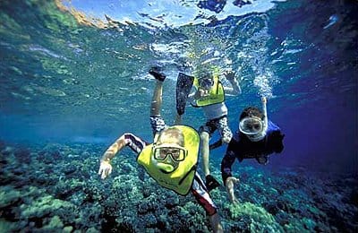 2 people enjoying snorkeling Molokini