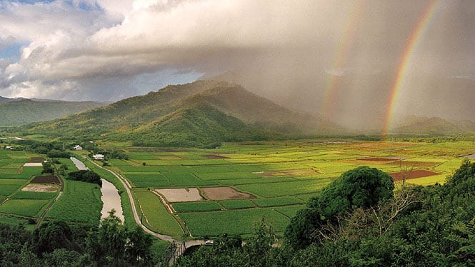 Hanalei lookout overlooking taro fields and a rainbow