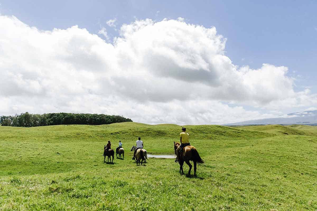 4 people riding horses on the big island prarie