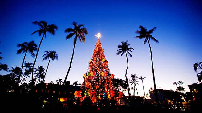 large christmas tree in hawaii