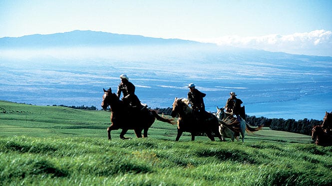 Horseback riding on parker ranch
