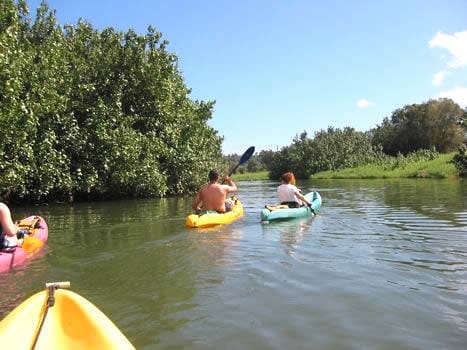 Wailua Kauai kayaking adventure