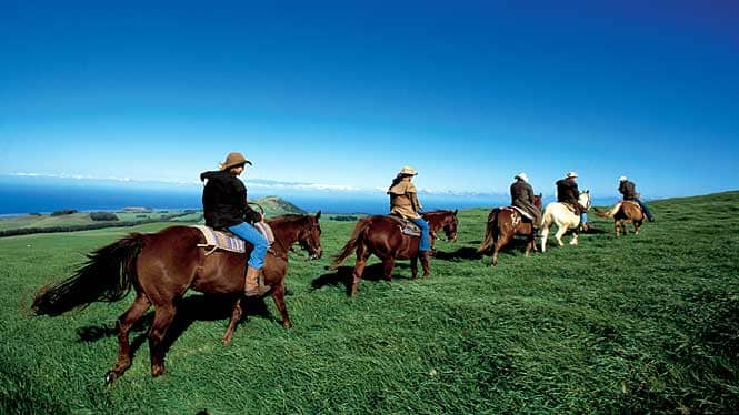Oahu Horseback Adventures