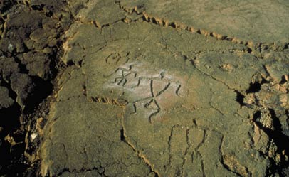 Lanai Petroglyphs