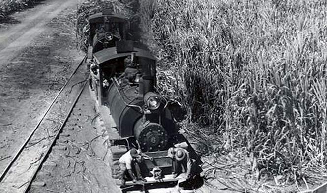 Old picture of the sugar train